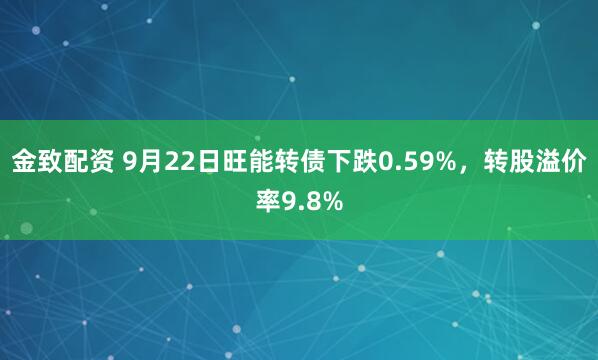 金致配资 9月22日旺能转债下跌0.59%，转股溢价率9.8%