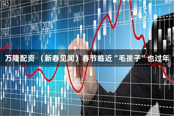 万隆配资 （新春见闻）春节临近“毛孩子”也过年